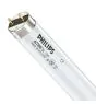 Philips T8 Actinic BL 15W - Blacklight | 44cm