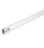 Philips T8 UV - C 55W - Ultraviolet | 90cm
